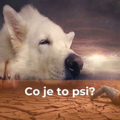 Co je to psi